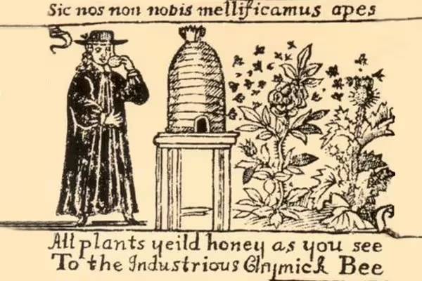 Origins of Mead: History Deep Dive