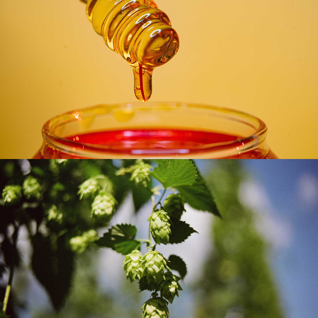 Mead vs. Beer - Is There a Difference?