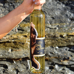 Curse of Calypso Mead - Sweet - 11% Alc