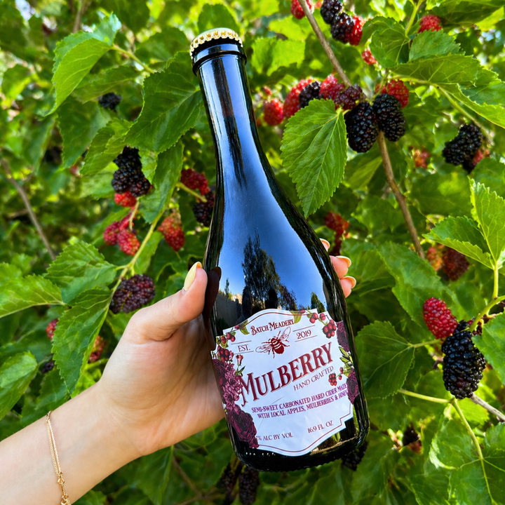 Mulberry Hard Cider